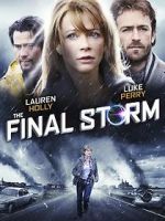 Watch The Final Storm Goojara