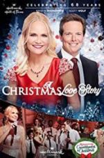 Watch A Christmas Love Story Goojara