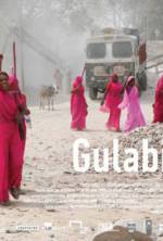 Watch Gulabi Gang Goojara
