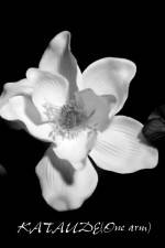 Watch Kataude Goojara