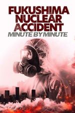 Watch Fukushima Nuclear Accident - Minute by minute Goojara