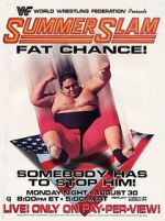 Watch Summerslam (TV Special 1993) Goojara