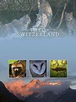 Watch Wilde Schweiz Goojara
