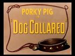 Watch Dog Collared (Short 1950) Goojara
