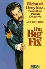 Watch The Big Fix Goojara