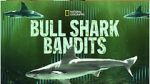 Watch Bull Shark Bandits Goojara