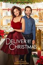 Watch Deliver by Christmas Goojara