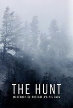 Watch The Hunt: In Search of Australia\'s Big Cats Goojara
