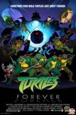 Watch Teenage Mutant Ninja Turtles Turtles Forever Goojara