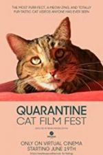 Watch Quarantine Cat Film Fest Goojara
