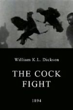 Watch The Cock Fight Goojara