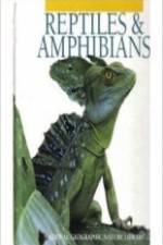 Watch Reptiles and Amphibians Goojara