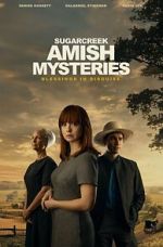 Watch Sugarcreek Amish Mysteries: Blessings in Disguise Goojara