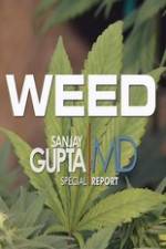 Watch CNN Weed Sanjay Gupta Report Goojara
