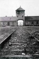 Watch AUSCHWITZ: FRENZIED KILLING Goojara