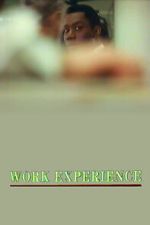 Watch Work Experience Goojara