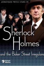Watch Sherlock Holmes and the Baker Street Irregulars Goojara
