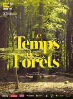 Watch The Time of Forests Goojara
