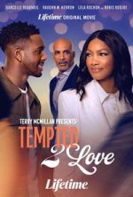 Watch Terry McMillan Presents: Tempted 2 Love Goojara
