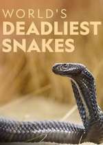 Watch World's Deadliest Snakes Goojara