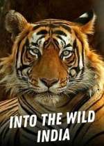 Watch Into the Wild India Goojara
