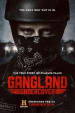 Watch Gangland Undercover Goojara