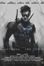 Watch Nightwing: The Series Goojara