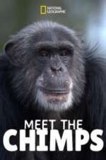 Watch Meet the Chimps Goojara
