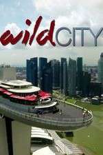 Watch Wild City Goojara