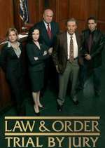 Watch Law & Order: Trial by Jury Goojara