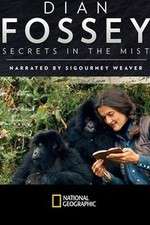 Watch Dian Fossey: Secrets in the Mist Goojara