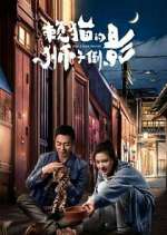 Watch The Lion's Secret Goojara