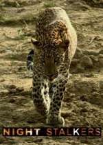 Watch Night Stalkers Goojara