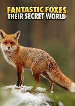 Watch Fantastic Foxes: Their Secret World Goojara