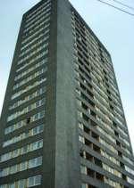 Watch High Times Goojara