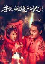 Watch Buried City to Shut All Lights Goojara