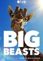 Watch Big Beasts Goojara
