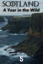 Watch Scotland: A Wild Year Goojara