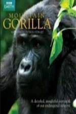 Watch Mountain Gorilla Goojara
