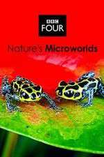 Watch Natures Microworlds Goojara