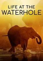 Watch Life at the Waterhole Goojara