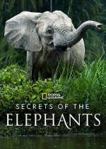 Watch Secrets of the Elephants Goojara