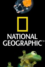 Watch Nat Geo Amazing! Goojara