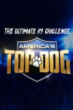 Watch America\'s Top Dog Goojara