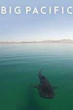 Watch Big Pacific Goojara