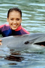 Watch Flipper (The New Adventures of Flipper) Goojara