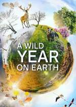 Watch A Wild Year on Earth Goojara