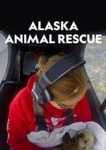 Watch Alaska Animal Rescue Goojara