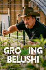 Watch Growing Belushi Goojara