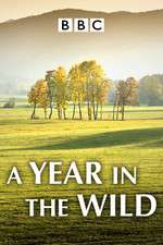 Watch A Year in the Wild Goojara
